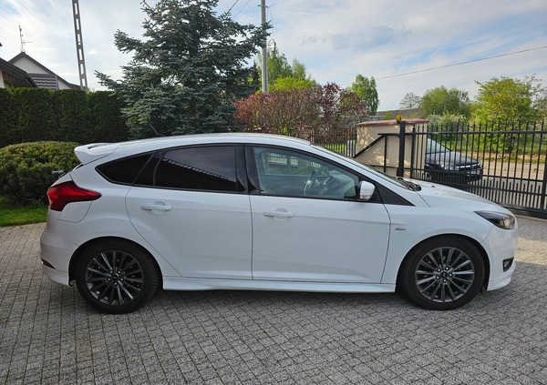 Ford Focus cena 39900 przebieg: 96000, rok produkcji 2016 z Łomża małe 191
